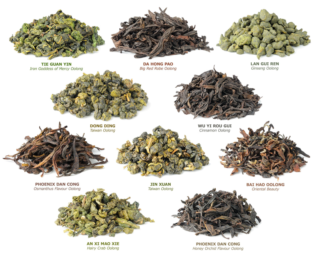 Which Tea Is Right for You? Discover the Benefits of Green, White, Black, Pu-erh & Oolong Tea