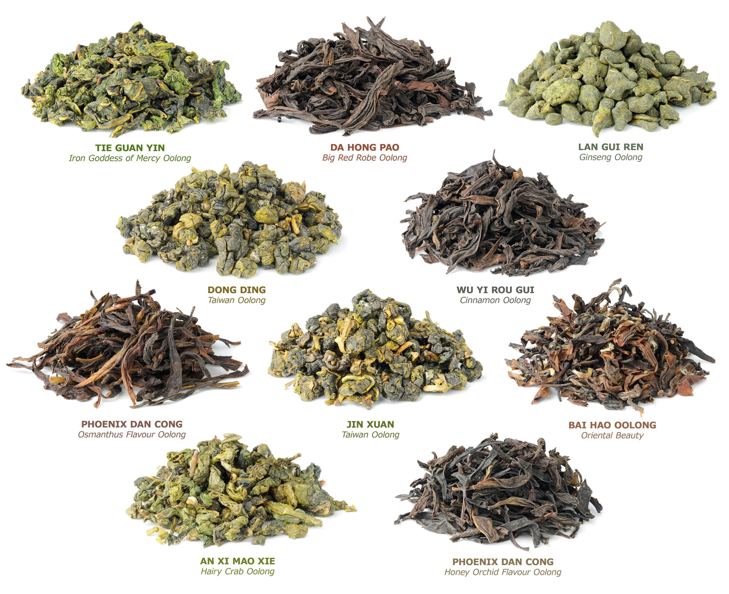 Which Tea Is Right for You? Discover the Benefits of Green, White, Black, Pu-erh & Oolong Tea