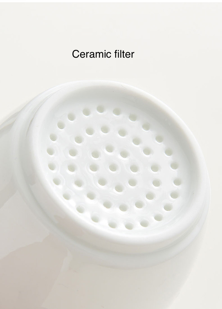 Ceramic filter on a white background with text 'Ceramic filter'.