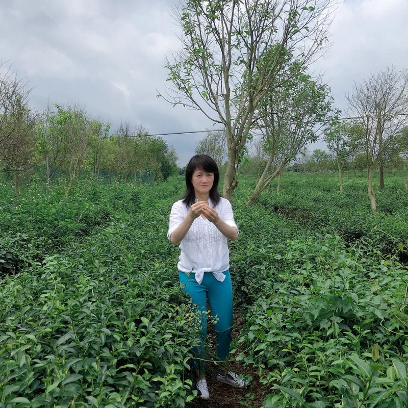 Travel_Tea_Farm_In_China_-_Tiger_Lily_Tea_Co