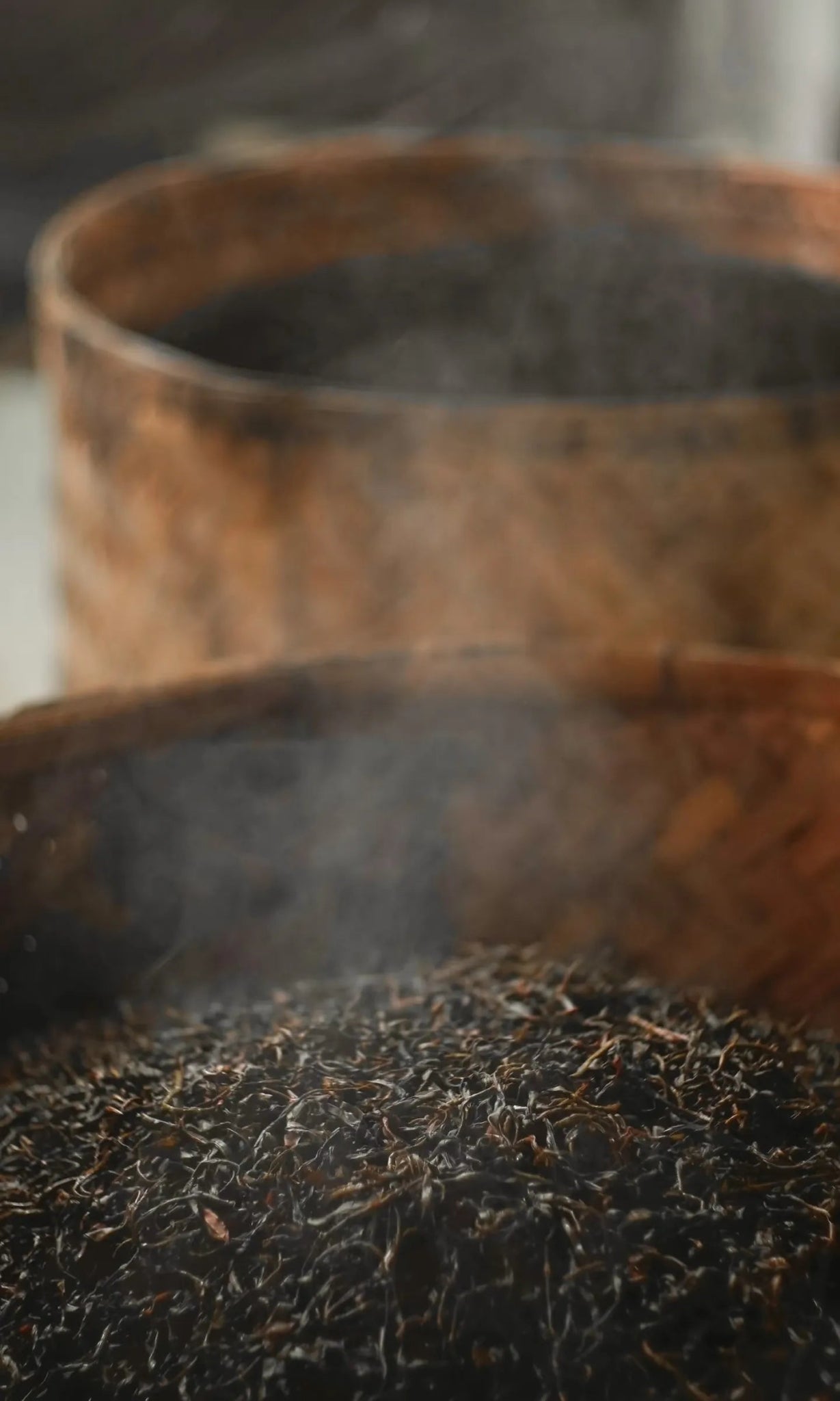 Ancient Tree Raw Pu - erh – 2007 Aged Raw Pu - erh Tea - Puer - Tiger Lily Tea Co