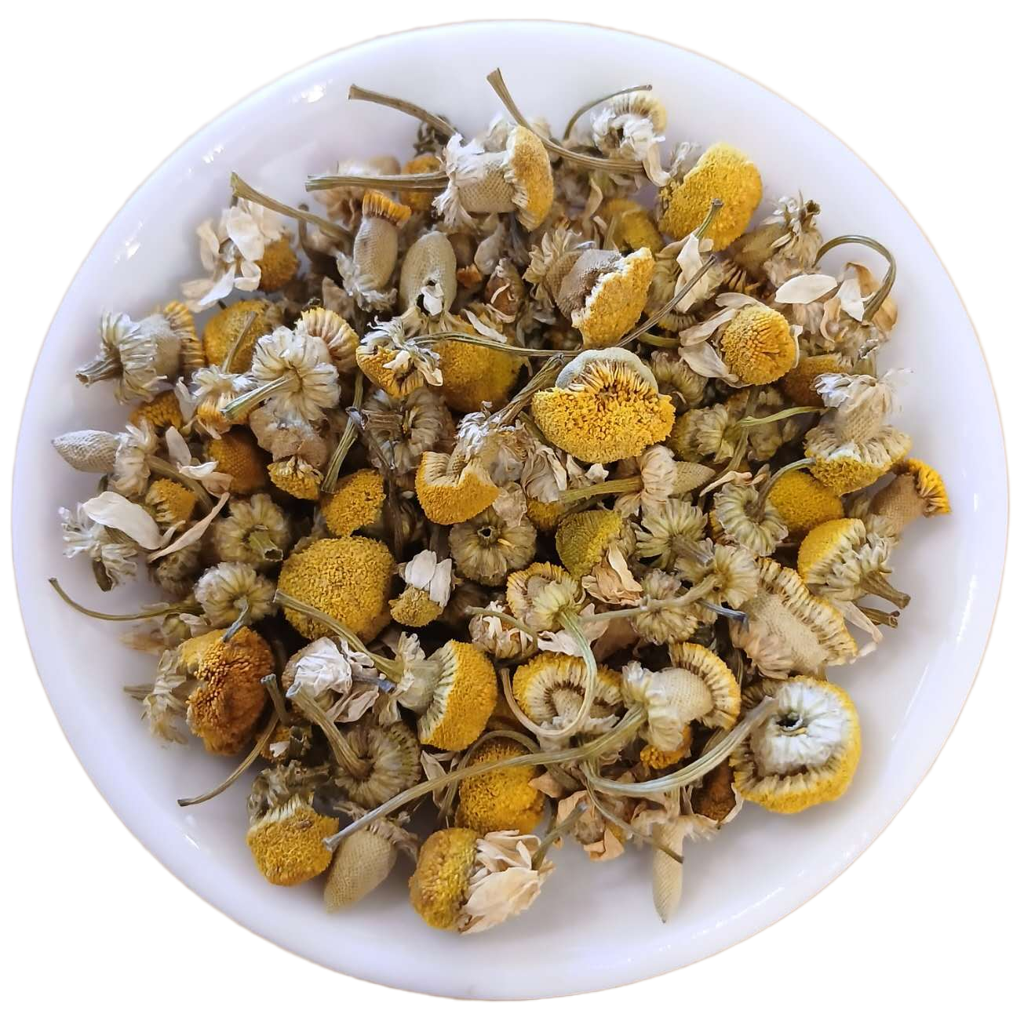 Dried yellow and white flowers in a white bowl