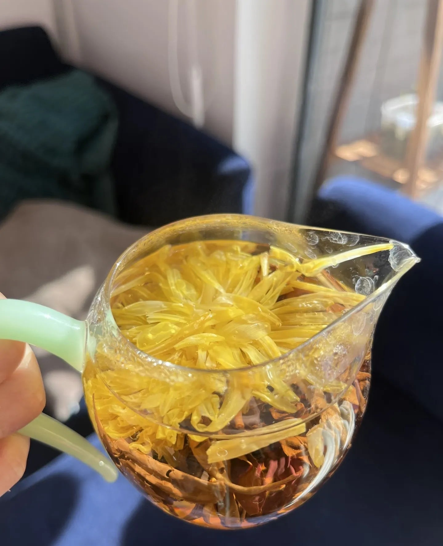 Wholesale Chrysanthemum Black Dragon Ball Blooming Tea - Blooming Tea-Tiger Lily Tea Co