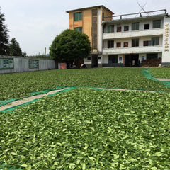 Bai Mu Dan ( White Peony) (25g/50g)