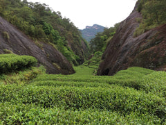 Rou Gui ( Rock Wulong Tea ) (25g /50g)